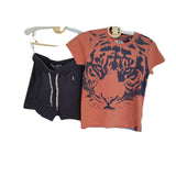 Koko noko completo tigre